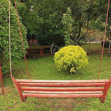Gajanovic Rooms Donji Milanovac Esterno foto